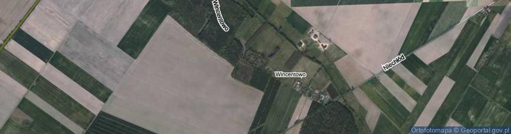 Zdjęcie satelitarne Wincentowo ul.